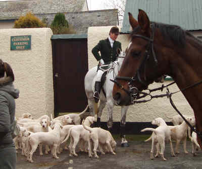 Photo of hounds at Hemyock's Boxing Day 2005 Meet.